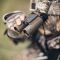 BushnellʿܾӢϵForge10x30mm BF1030T  EDЯԶ 2